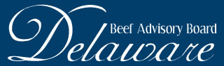 Delaware Logo